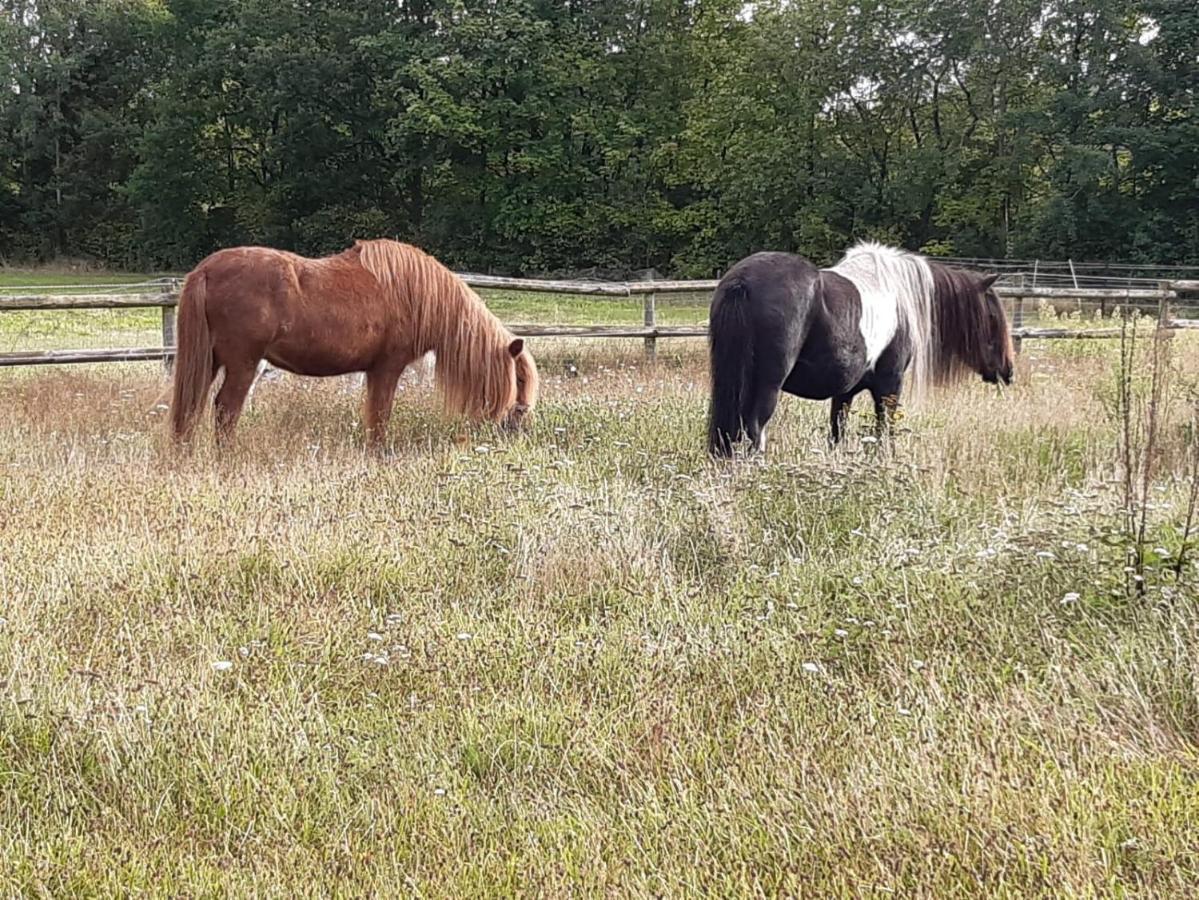 Ferienvermietung Reinstorf